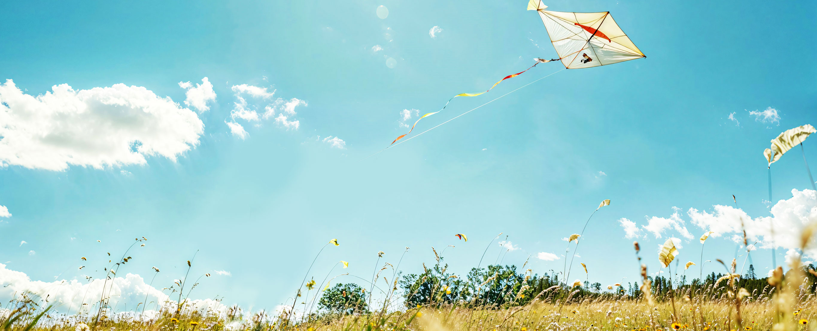 湖北国洋科技有限公司